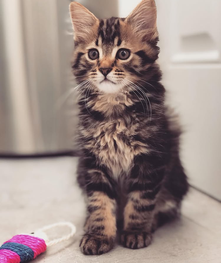 Ragnar