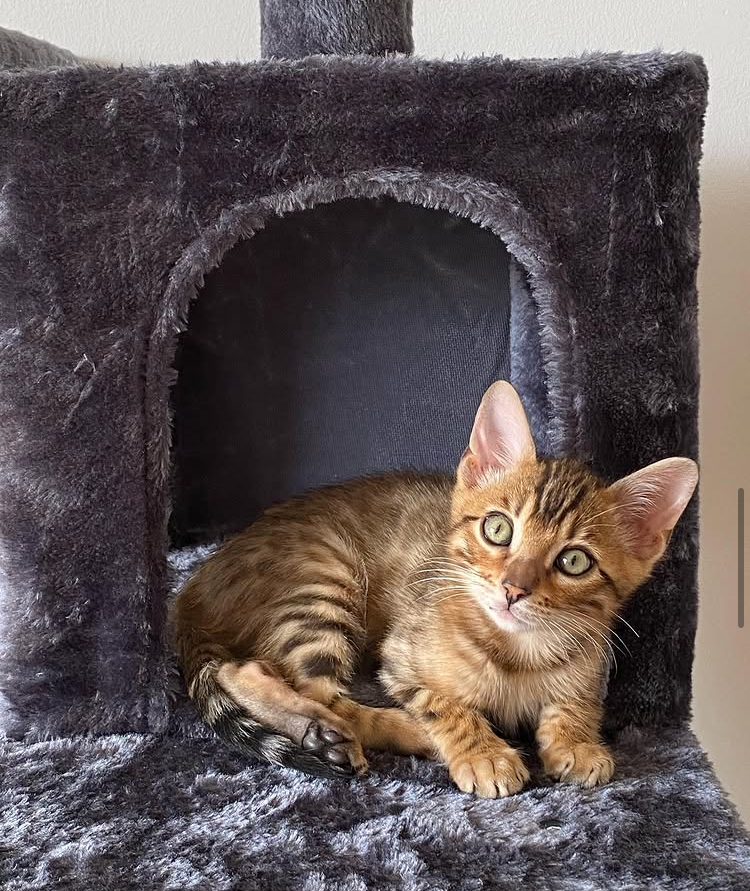LUNA