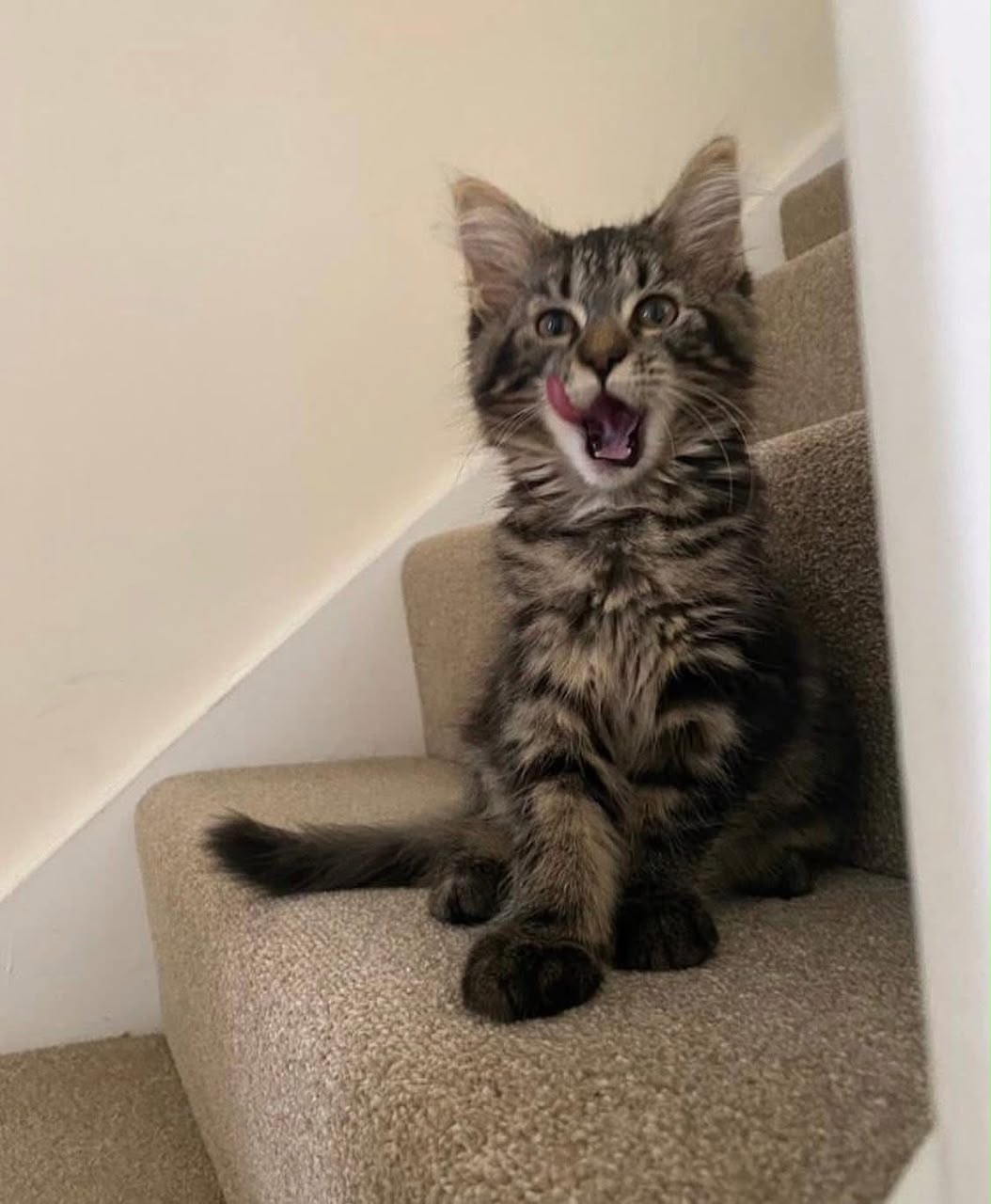 Luna